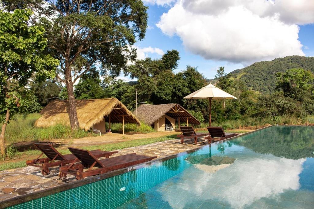 To glampingtelte og en pool ved Wild Glamping Gal Oya omgivet af frodig natur og åbne landskaber.