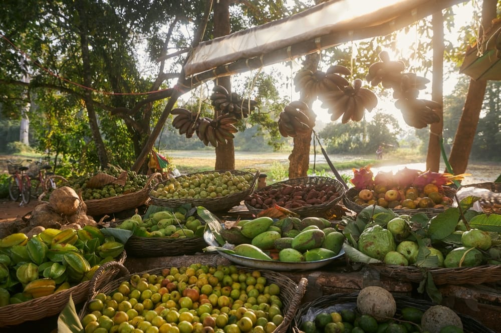 Tropisk frugtmarked – Siem Reap, Cambodja