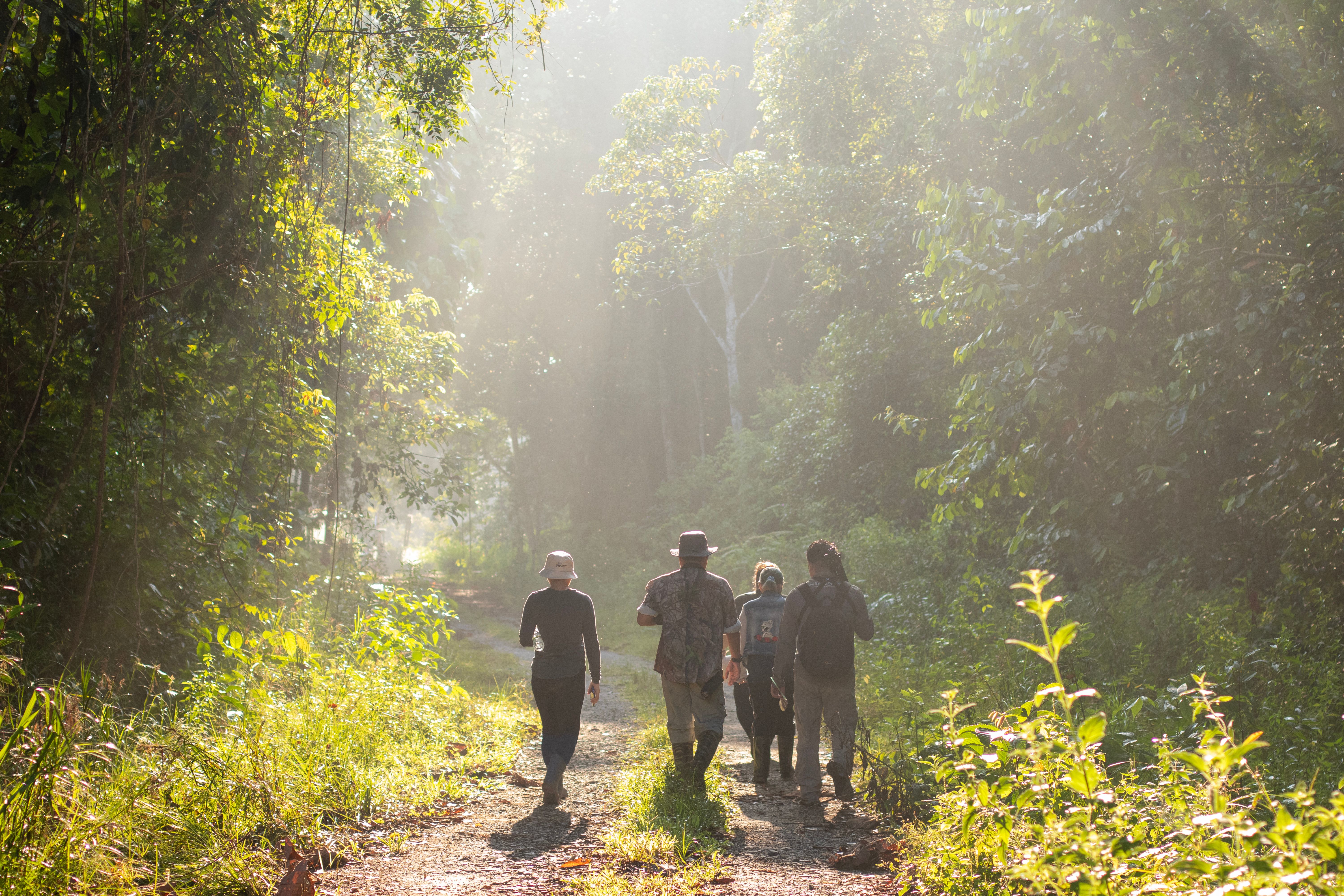 Utan Rainforest Lodge jungle trekking