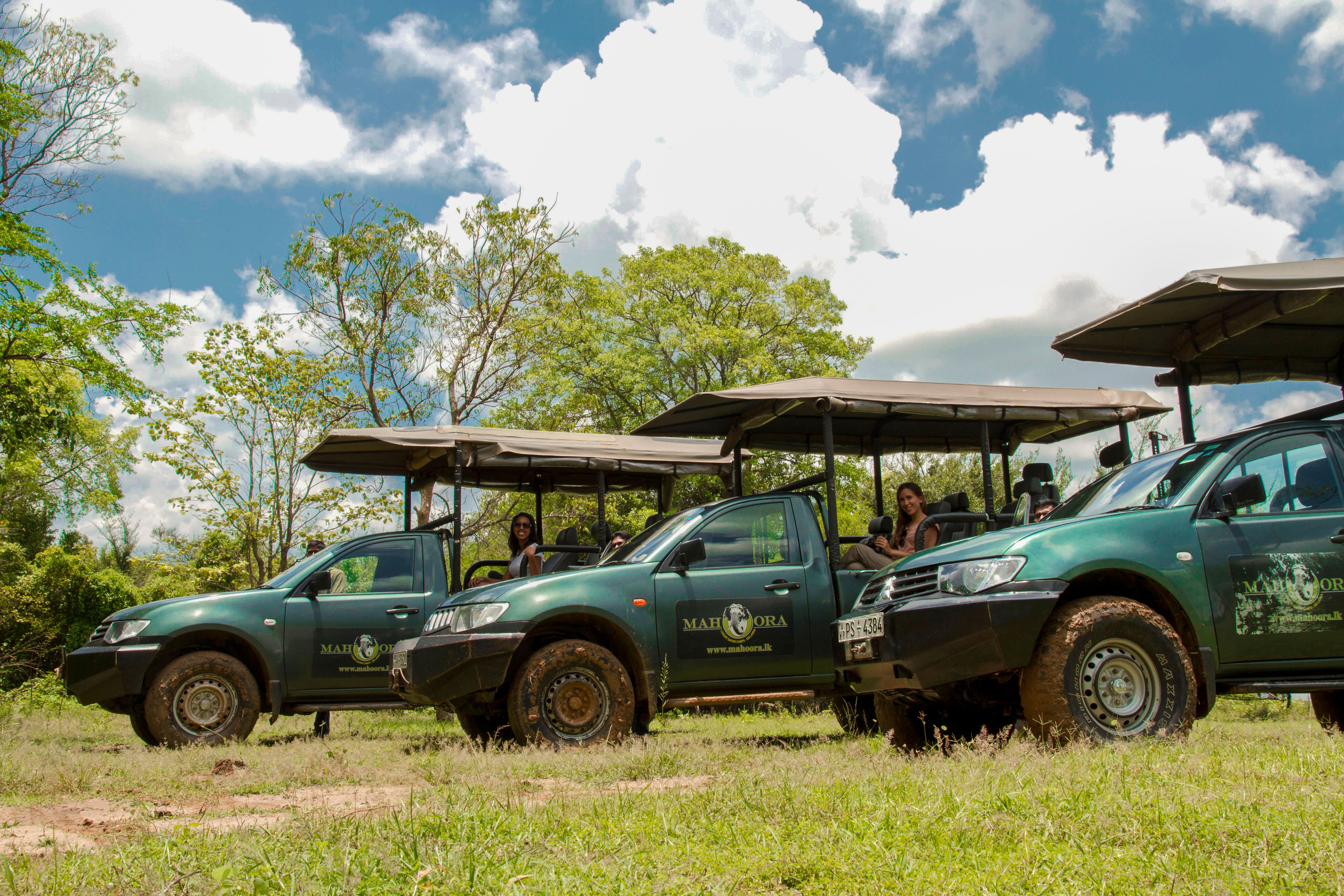 Jeep Safari Wilpattu Nationalpark