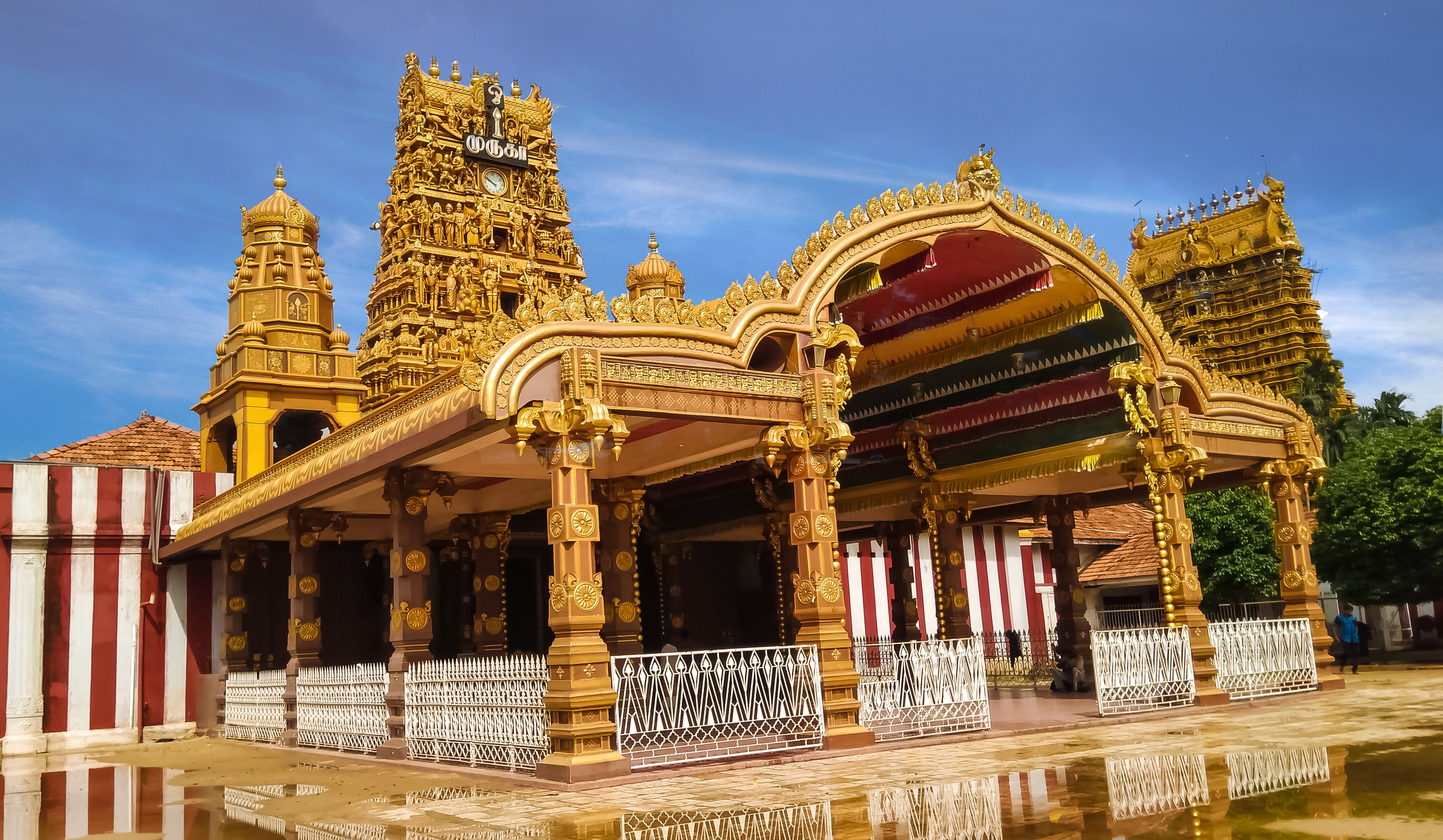 Nallur Kandaswamy Kovil et stemningsfuldt og historisk tempel i Jaffna kendt for sine gyldne tårne levende ritualer og den særlige atmosfære omkring de daglige ceremonier