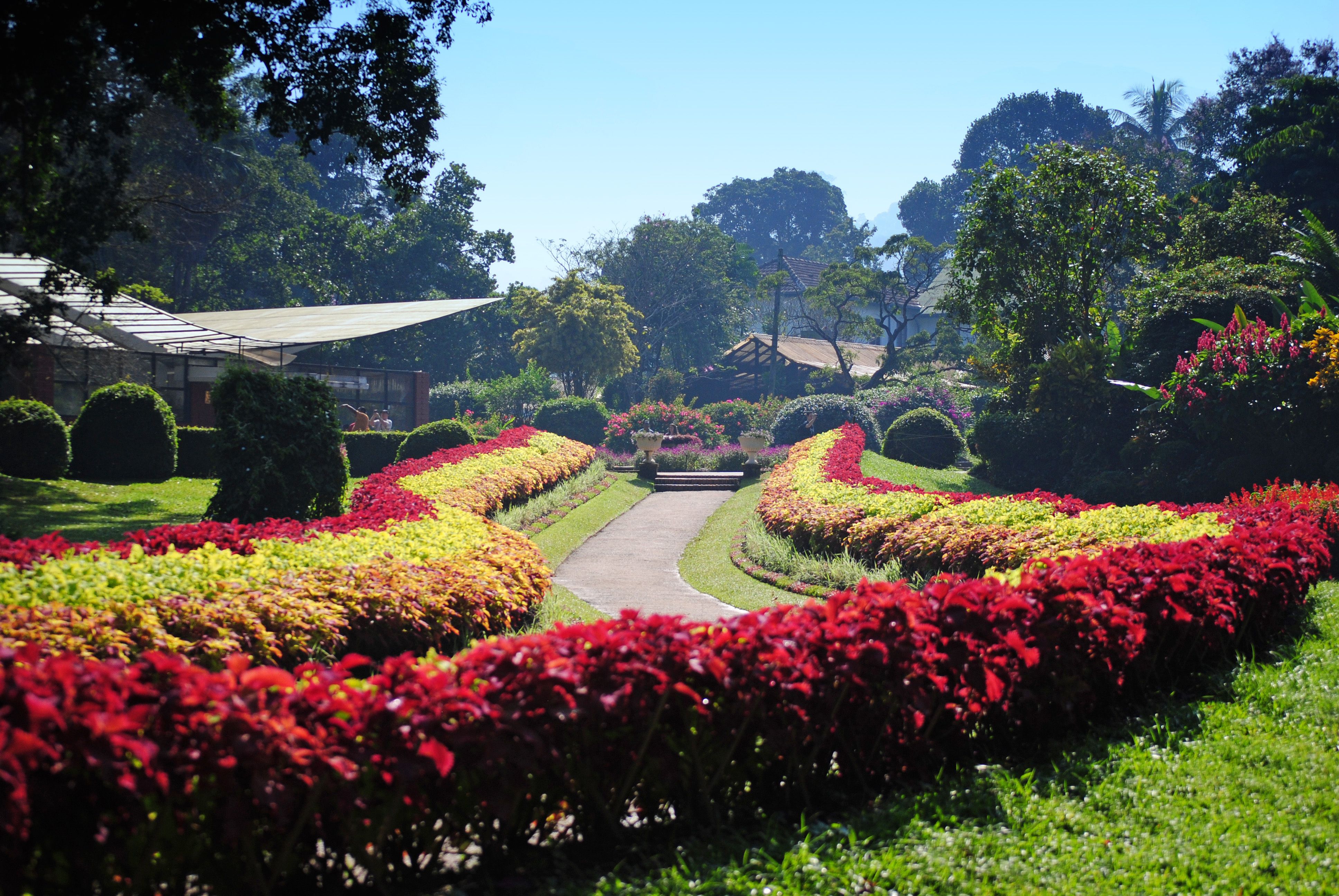 Peradeniya Botanical Garden et roligt grønt område ved Kandy