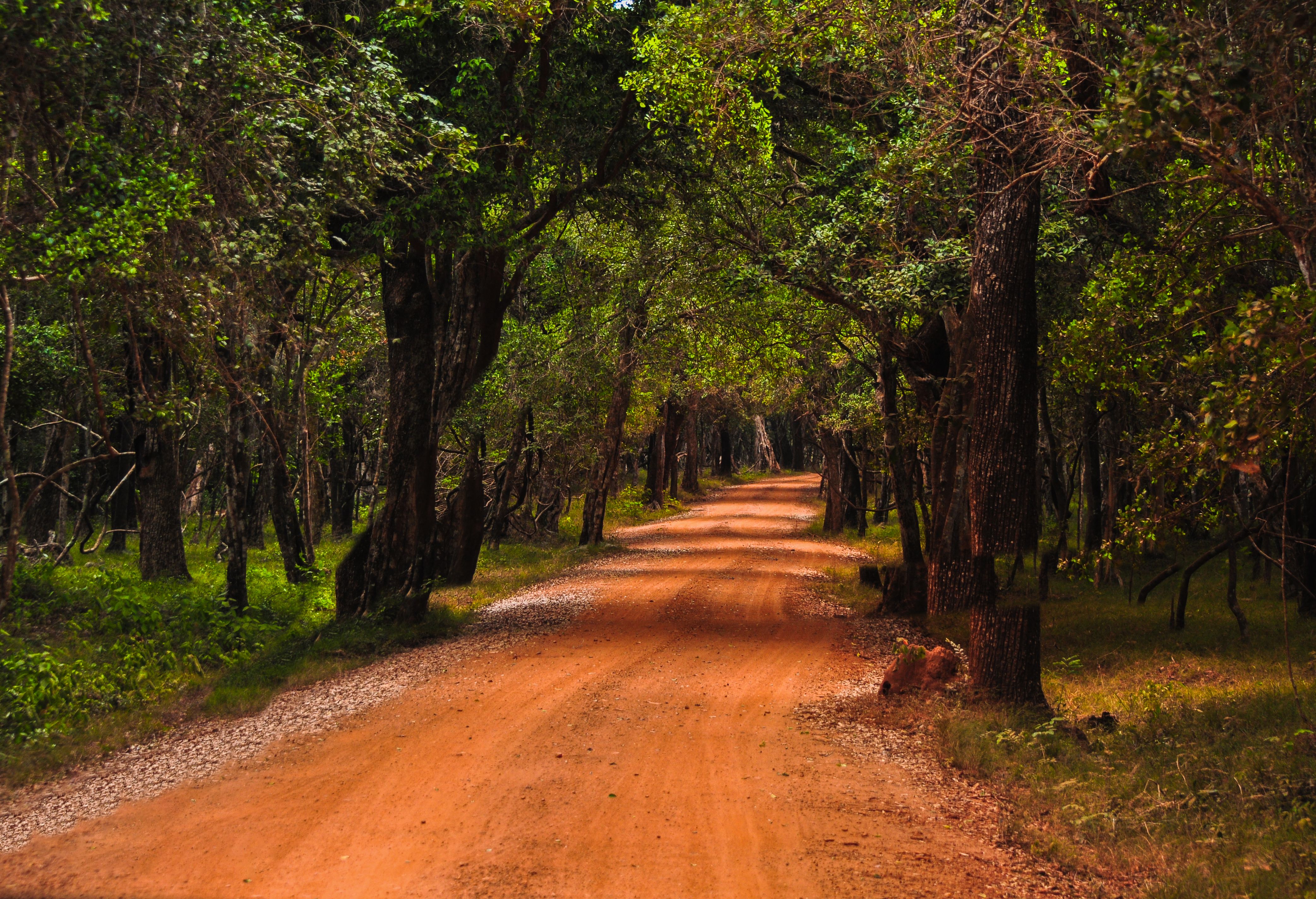 Wilpattu Nationalpark