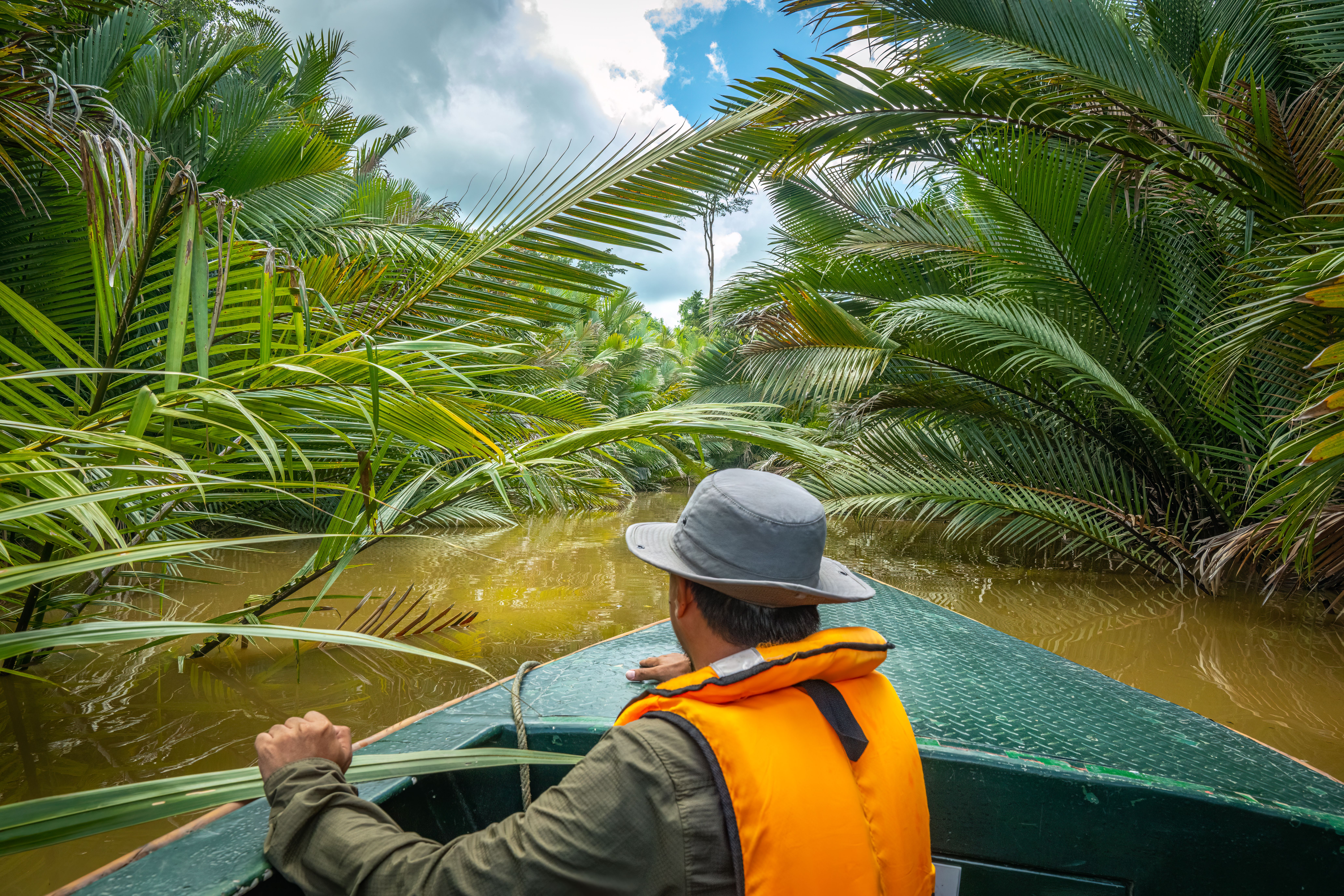 Flodcruise fra Utan Rainforest