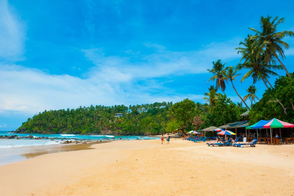 Tropisk sandstrand i Mirissa-bugten i Sri Lanka med palmer og Det Indiske Ocean i baggrunden.