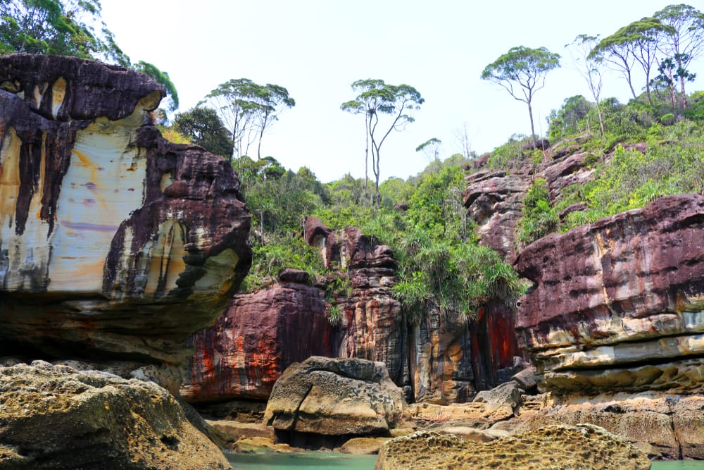 Bako Nationalpark på malaysisk Borneo, kendt for sine dramatiske klippeformationer, frodige regnskov og rige dyreliv langs kysten.