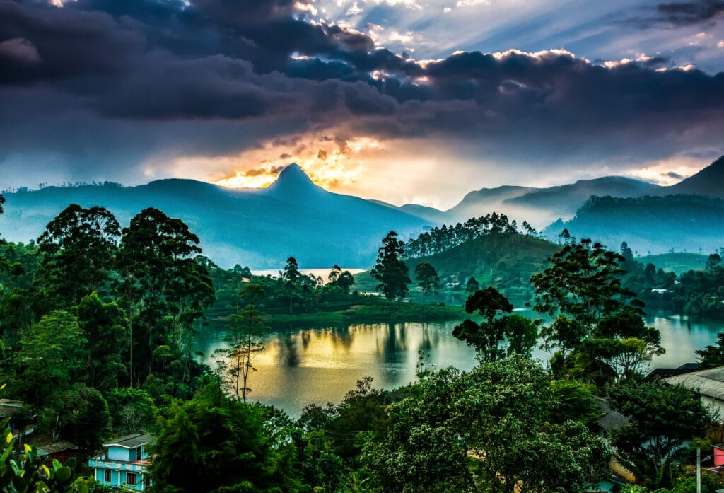 Solnedgang over teplantagerne i Sri Lanka