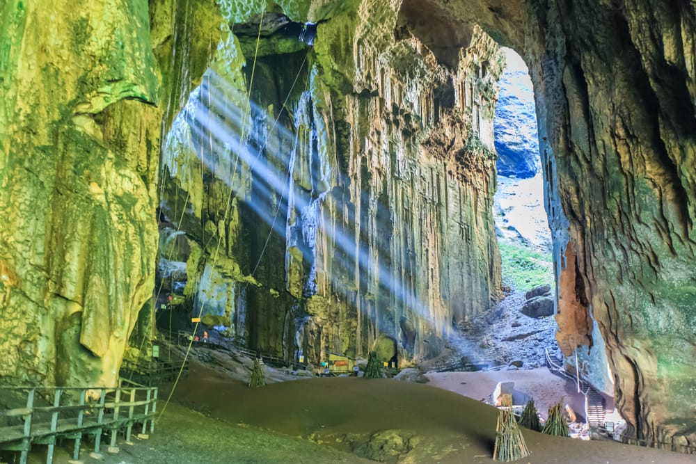 Gomantong Cave ligger i Kinabatangan-distriktet på Borneo og er kendt for sine imponerende kalkstensformationer, rige biodiversitet og traditionelle indsamling af svalereder.