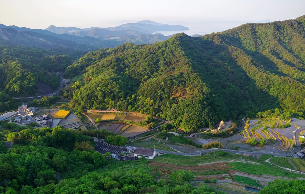Aerial view of Nakayama Senmaida terraced rice fields on Shodoshima, Kagawa, Japan, with houses scattered among flooded paddies on a sunny summer day.