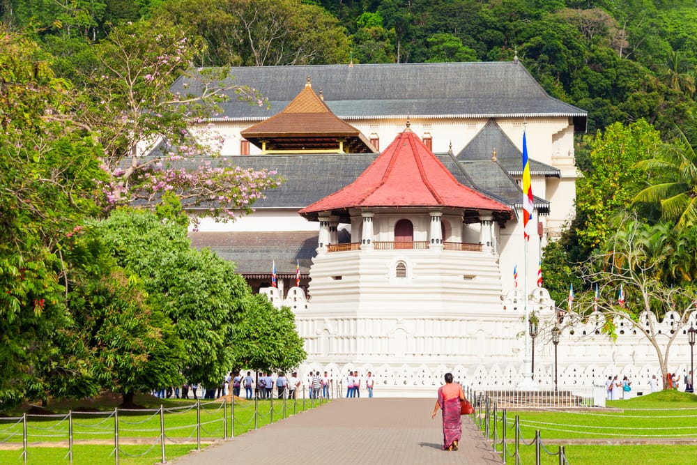 Temple of the Sacred Tooth Relic i Kandy med den hvide tempelbygning og gyldne tagdetaljer.