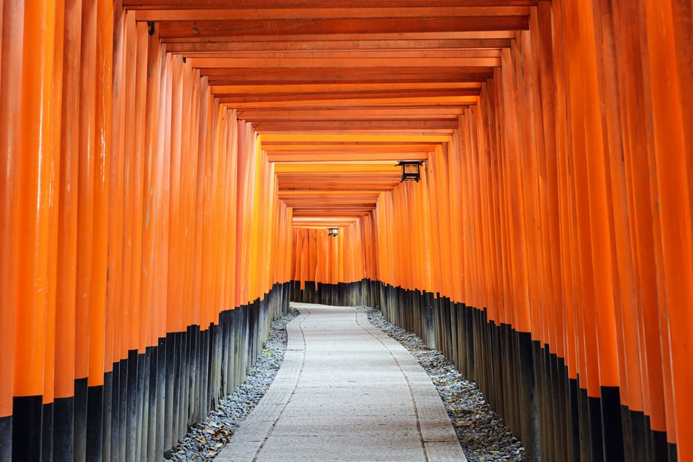 Fushimi Inari og de røde tori porte