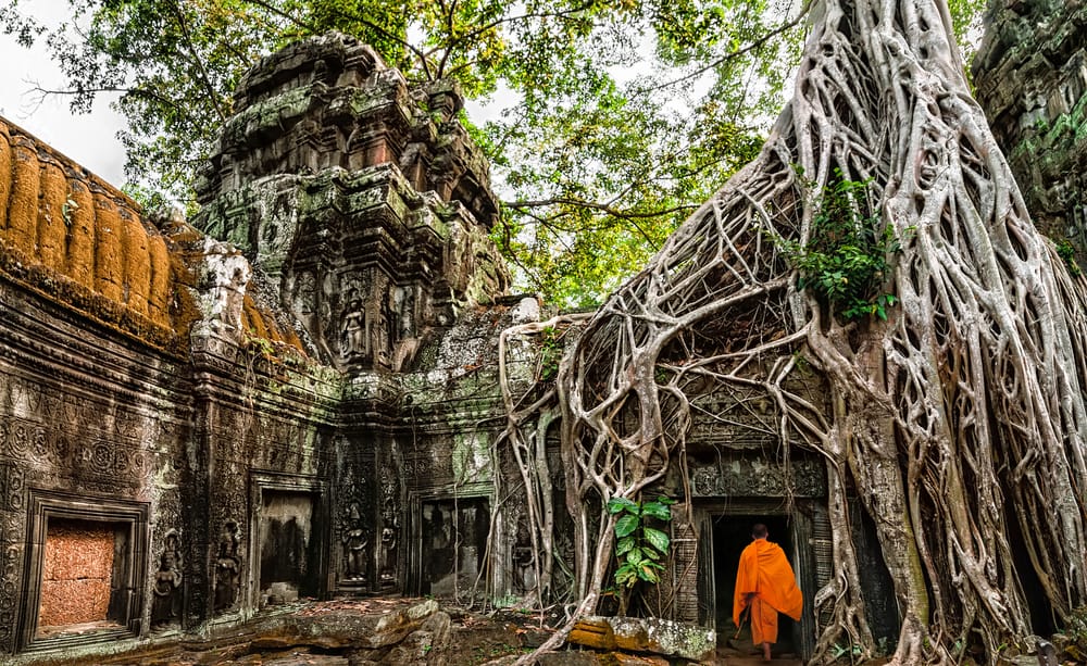 Buddhistisk munk ved Angkor Wat/Ta Prohm omgivet af gammel khmer-arkitektur og jungle