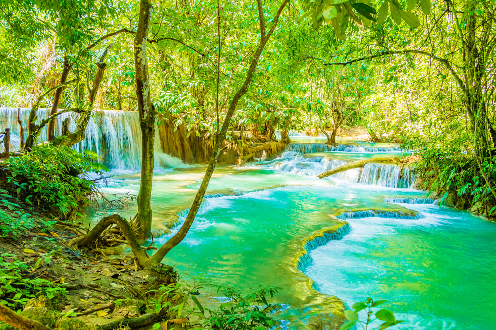 Tyrkisblåt Kuang Si-vandfald i Luang Prabang, Laos, med flere niveauer og naturlige laguner i tropisk jungle