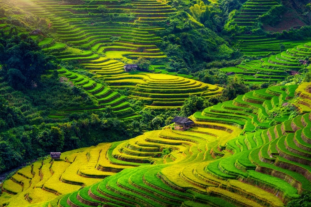 Risterrasser i Mu Cang Chai i Nordvietnam med bjerglandskab – køretur gennem Sapa-området.