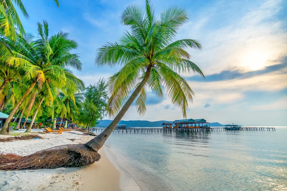 Tropisk strand på Phu Quoc med palmer, hvidt sand og turkisblåt hav