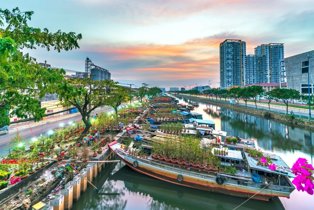Farverige blomsterudstillinger i Ho Chi Minh City, Vietnam, på gader og markeder