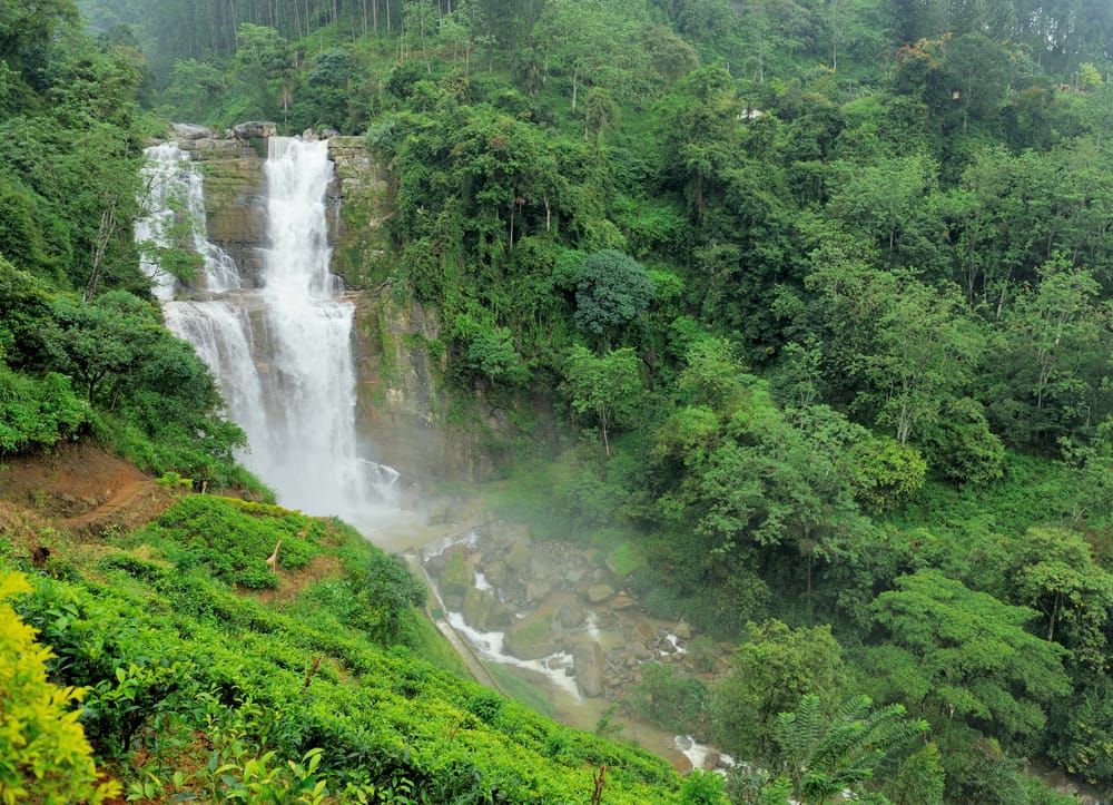 Ramboda Waterfall et elegant vandfald i højlandet hvor vandet falder i flere niveauer gennem det frodige landskab og skaber en rolig naturoplevelse