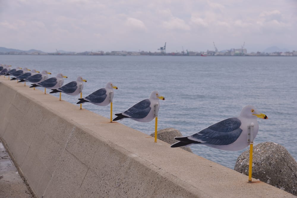 Kunstige mågefigurer på række langs en havnemole på Megijima i Setouchi, Japan, som en del af Setouchi Art Triennale.