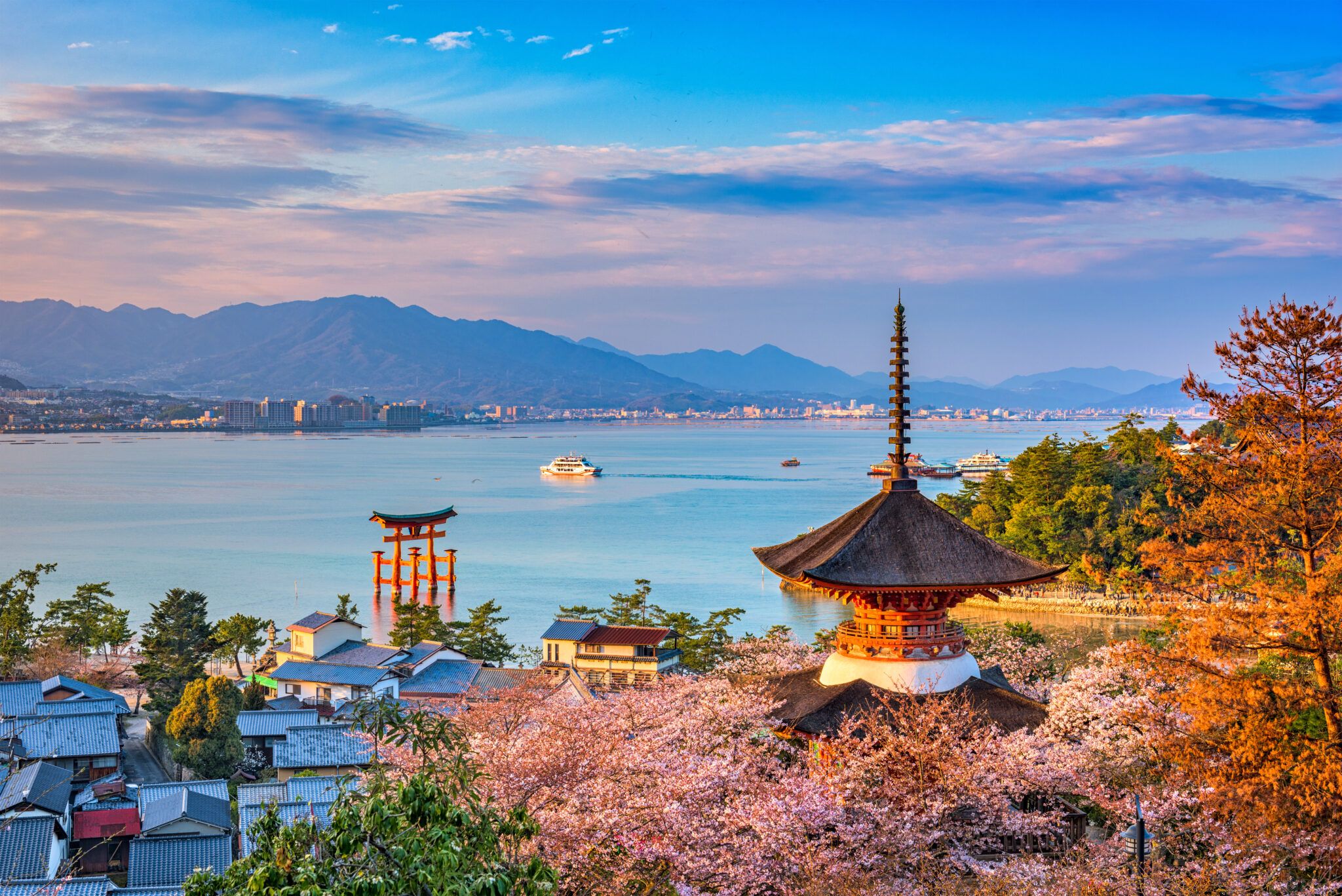 Miyajima Island i Hiroshima om foråret med kirsebærblomster og udsigt til den ikoniske torii-port ved Itsukushima-helligdommen.