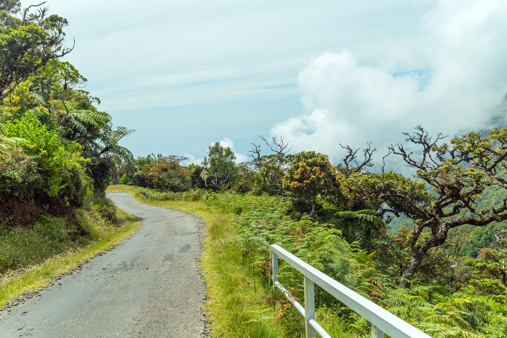 En snoet bjergvej gennem det åbne højlandslandskab i Horton Plains National Park