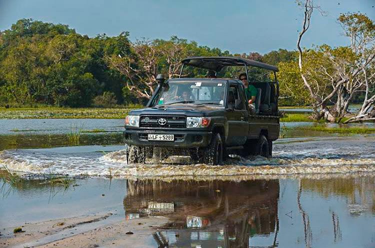Jeep Safari i Wilpattu