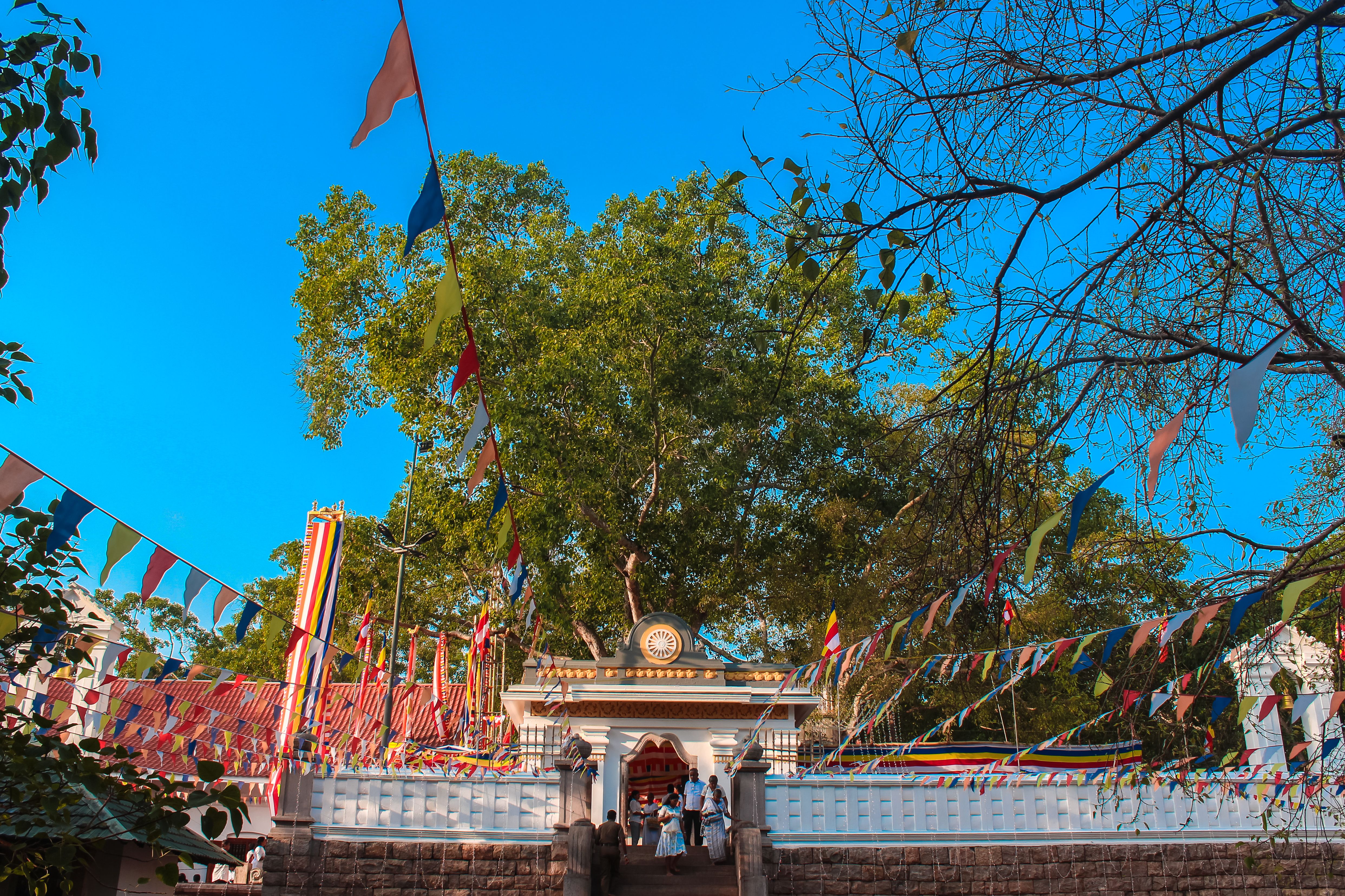 Sri Maha Bodhiya i Anuradhapura, Sri Lanka – helligt buddhistisk Bodhi-træ og vigtigt pilgrimssted.