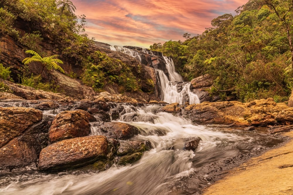 Baker’s Falls i Horton Plains National Park
