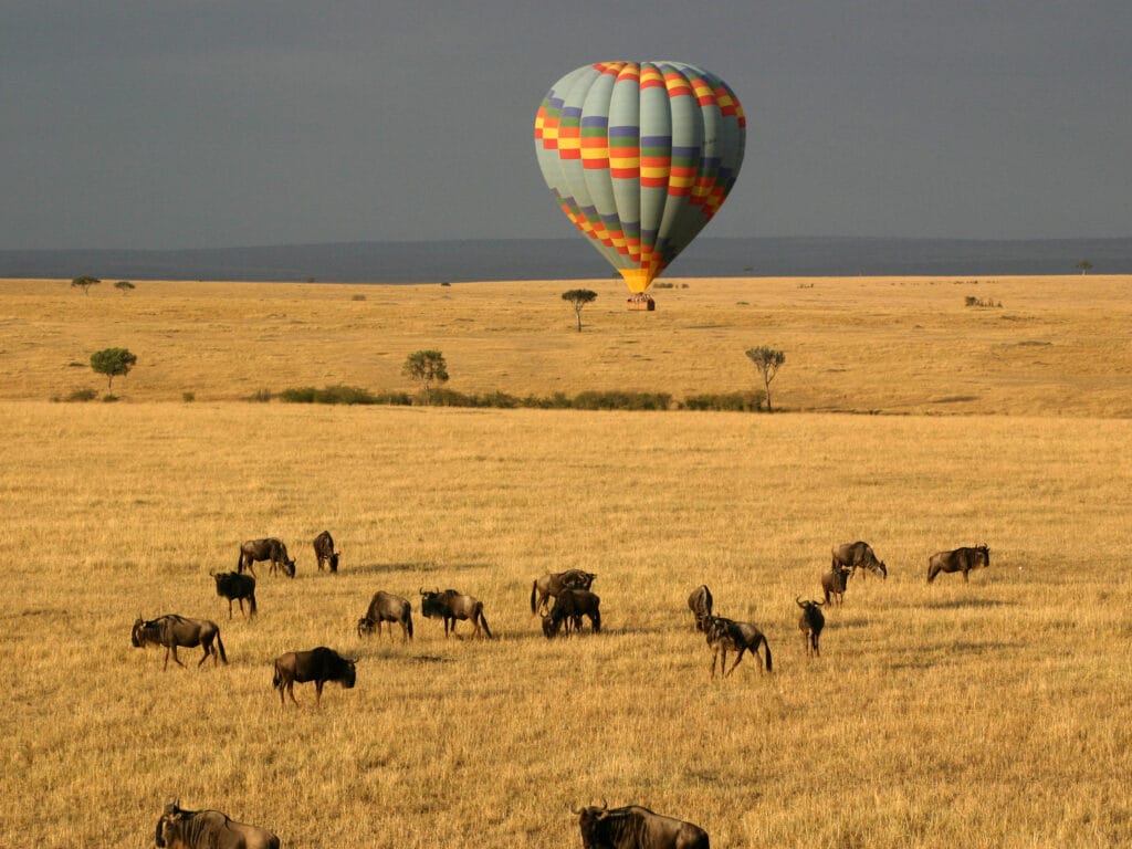 Luftballon over Masai Mara Luftballon over Masai Mara med græssende gnuer