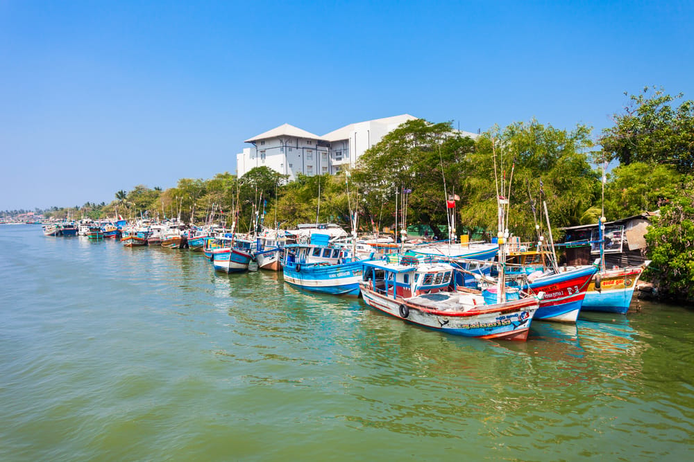 Traditionelle fiskerbåde ligger langs stranden i Negombo, Sri Lanka, med havet og kysten i baggrunden.