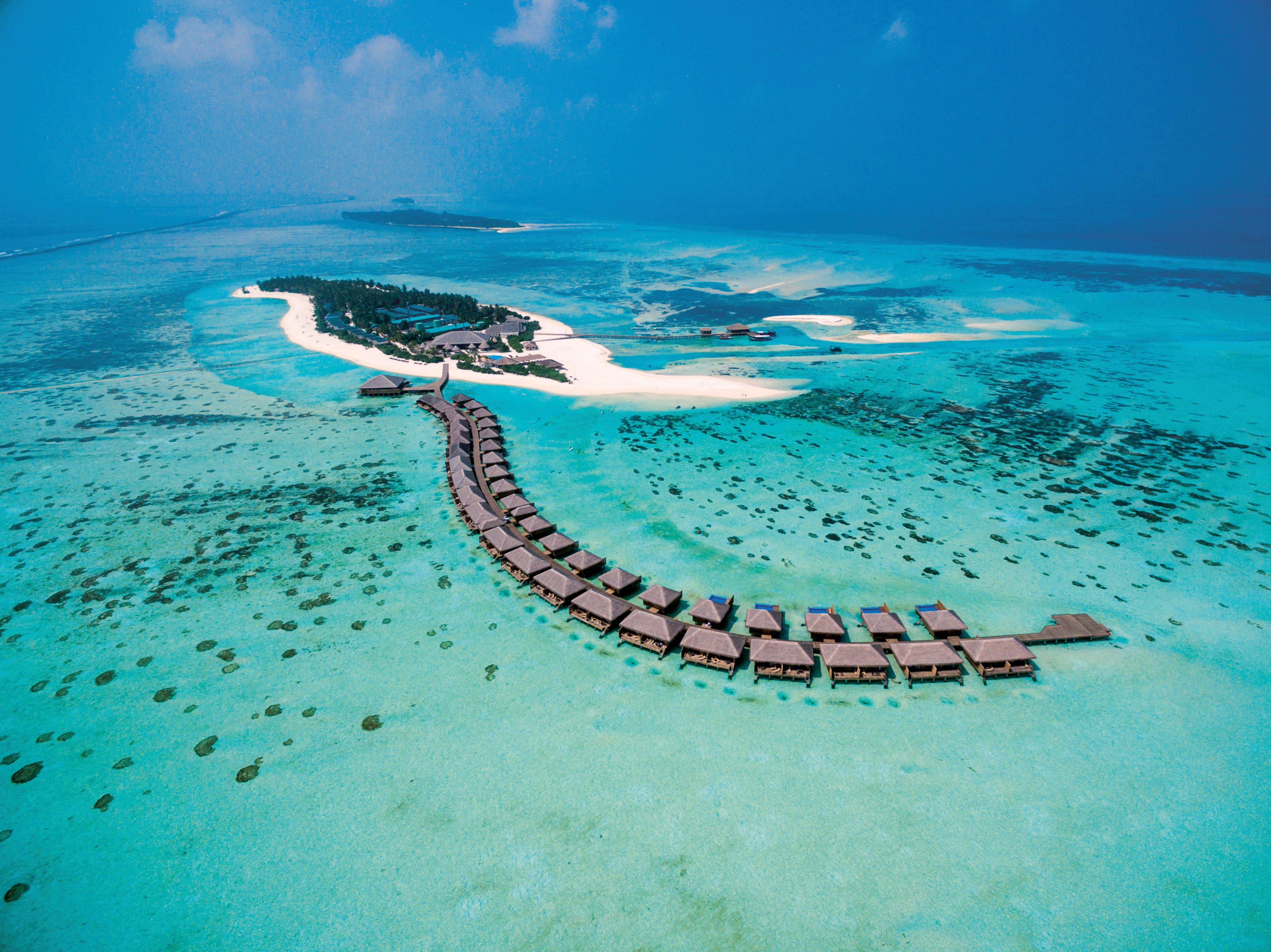 Coocon Maldivies