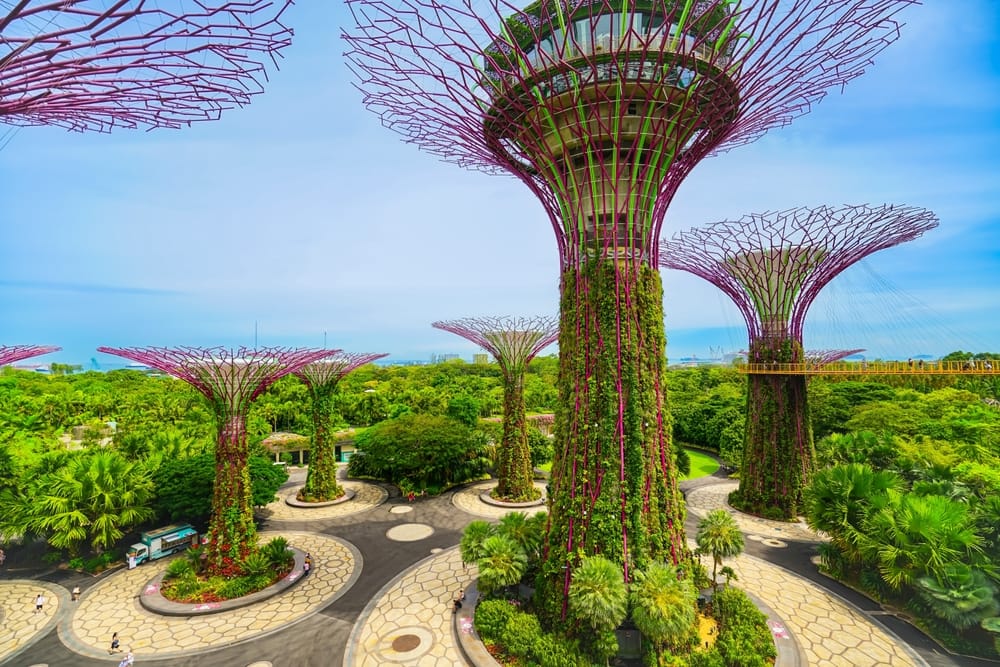 Supertrees i Gardens by the Bay med grøn beplantning og skywalk i Singapore.