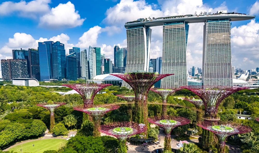 Supertree Grove i Gardens by the Bay med Marina Bay Sands og Singapores skyline i baggrunden.