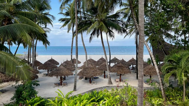 Strand med palmer, stråparasoller og solsenge ved Pinewood Beach and Spa Resort i Kenya