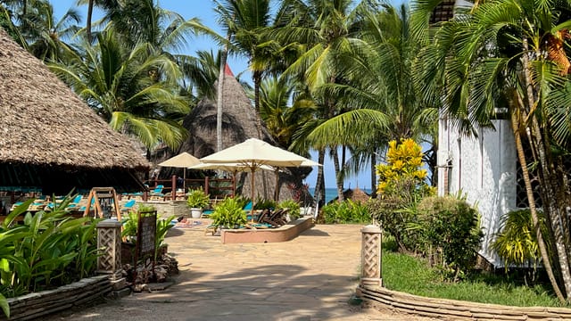 Sti gennem tropisk have på Pinewood Beach and Spa Resort med palmer og stråtage