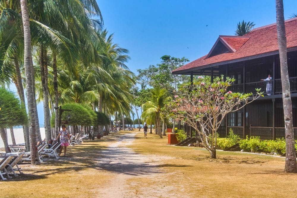 Strandpromenade med palmer, solsenge og traditionelt træresort ved stranden i Langkawi, Malaysia.