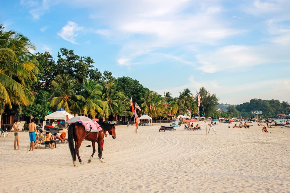 Hest på sandstrand i Langkawi med palmer, flag og strandgæster i baggrunden.