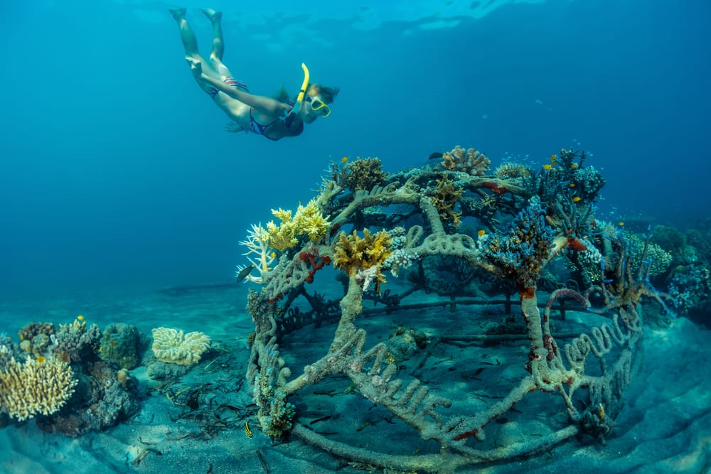 Snorkling over koralrev i Pemuteran på Bali