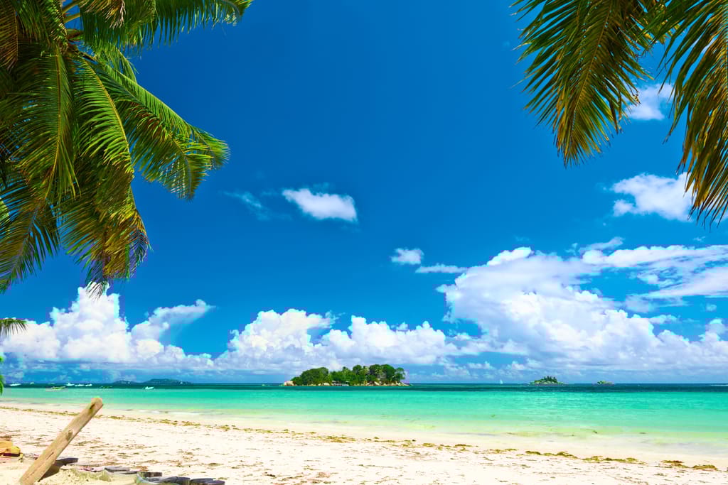 Hvid sandstrand med palmetræer ved Côte d’Or på Praslin, Seychellerne, omgivet af turkisblåt hav og klar blå himmel.