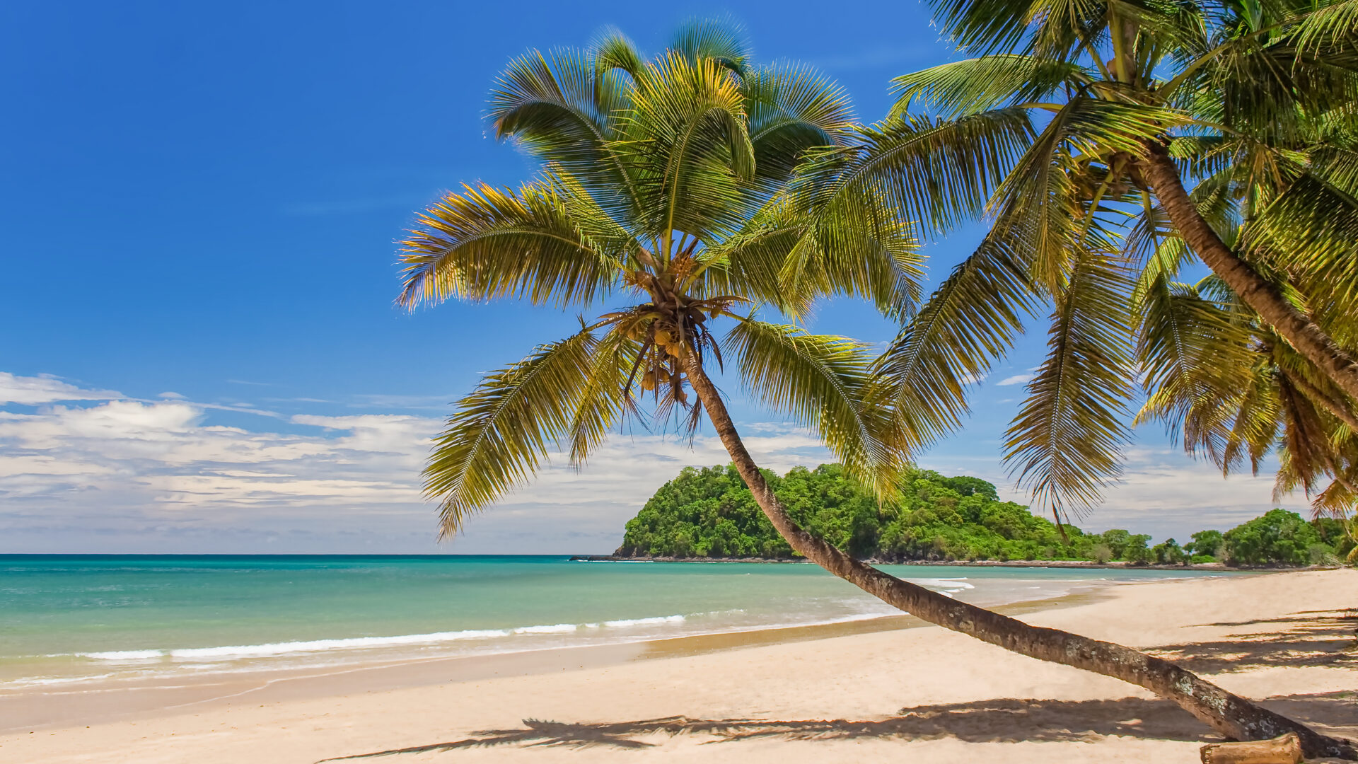 Tropisk strand af Nosy Be Madagaskar
