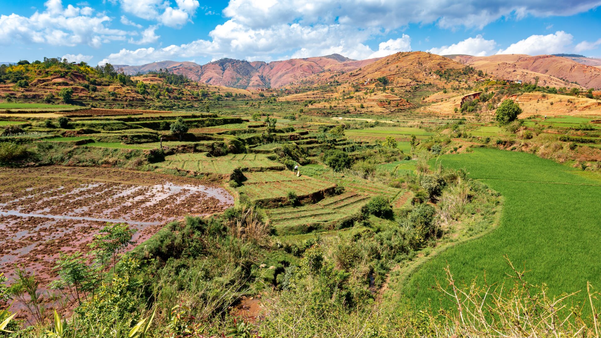 Central Madagaskar Landskaber