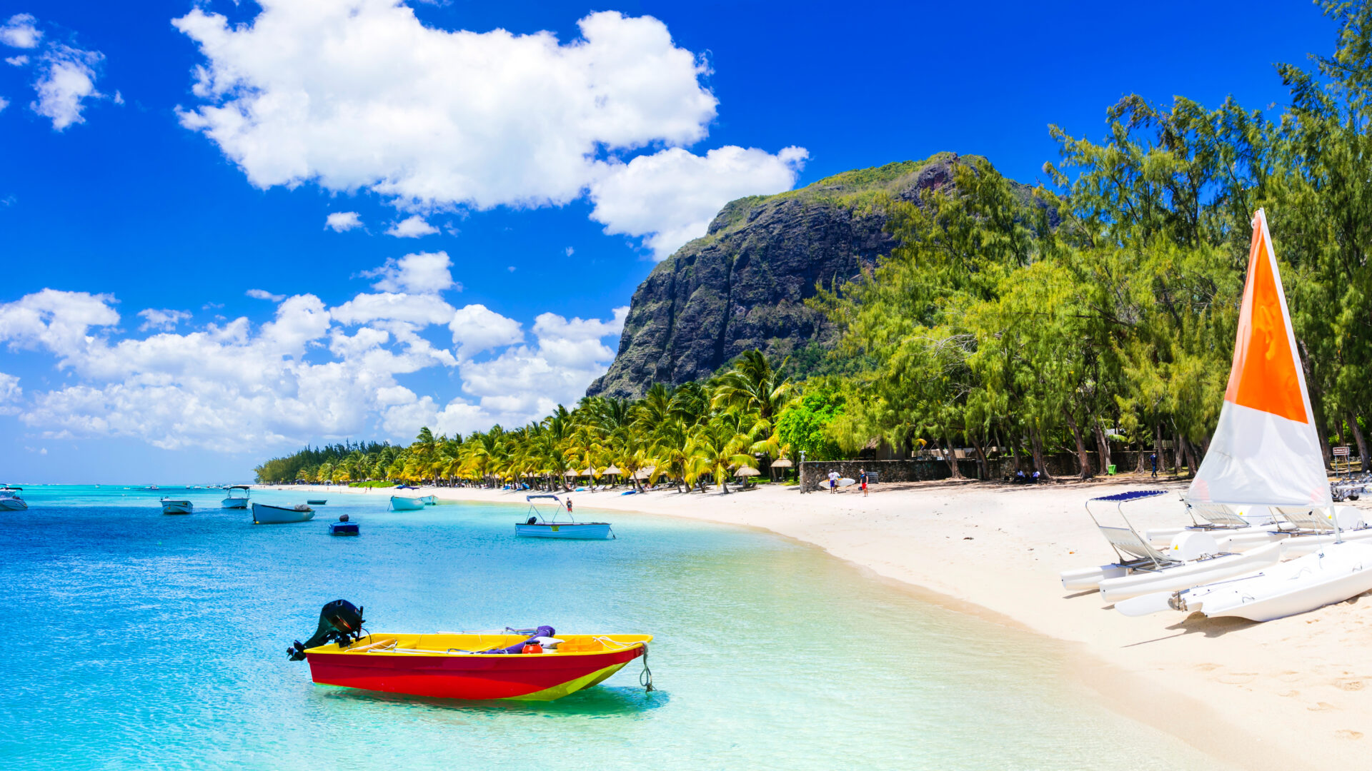 Kysten af Mauritius med båder