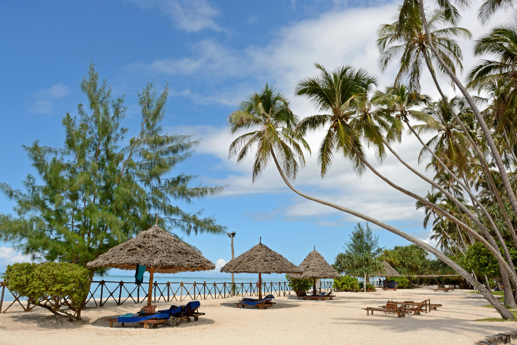 Stranden på Ocean Paradise Resort på Zanzibar