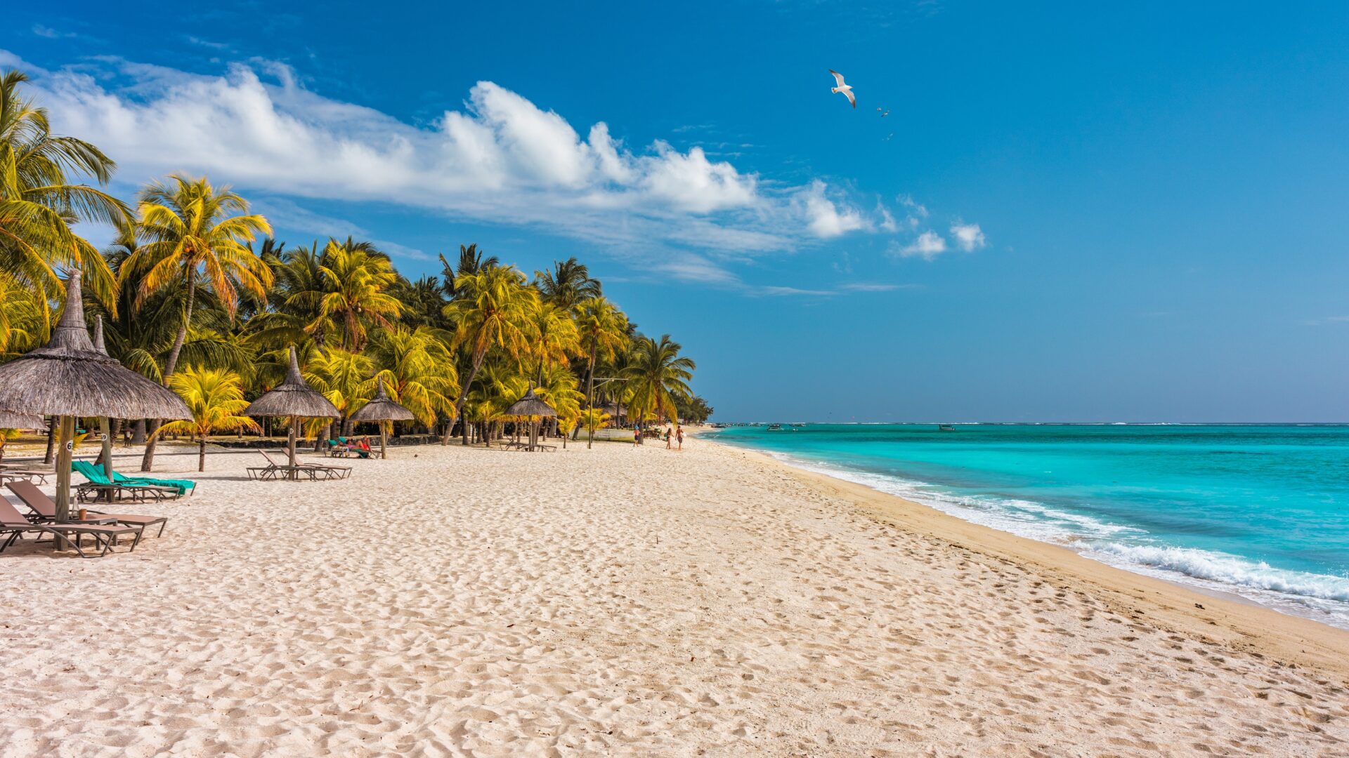 Flotte strand på Mauritius