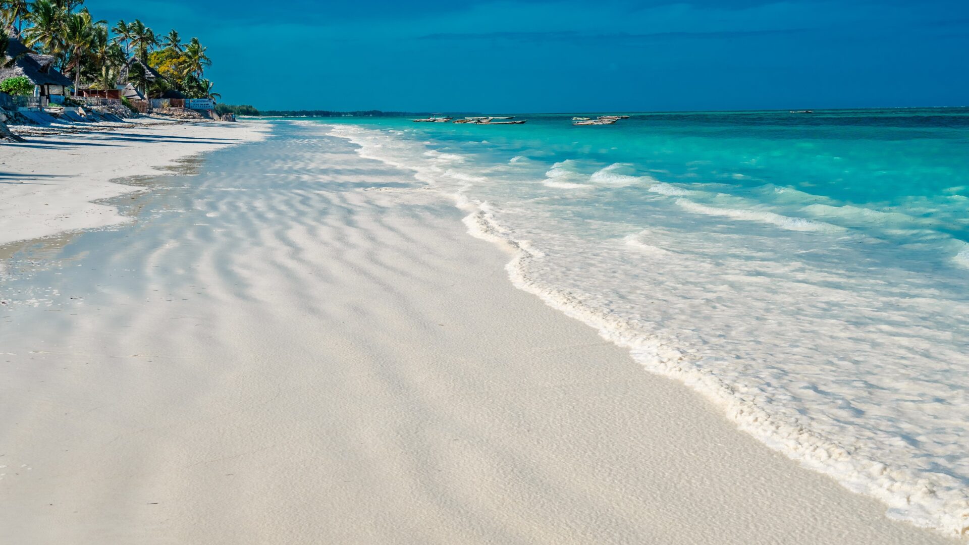 Top Billede Rejsebrev Kenya og Zanzibar