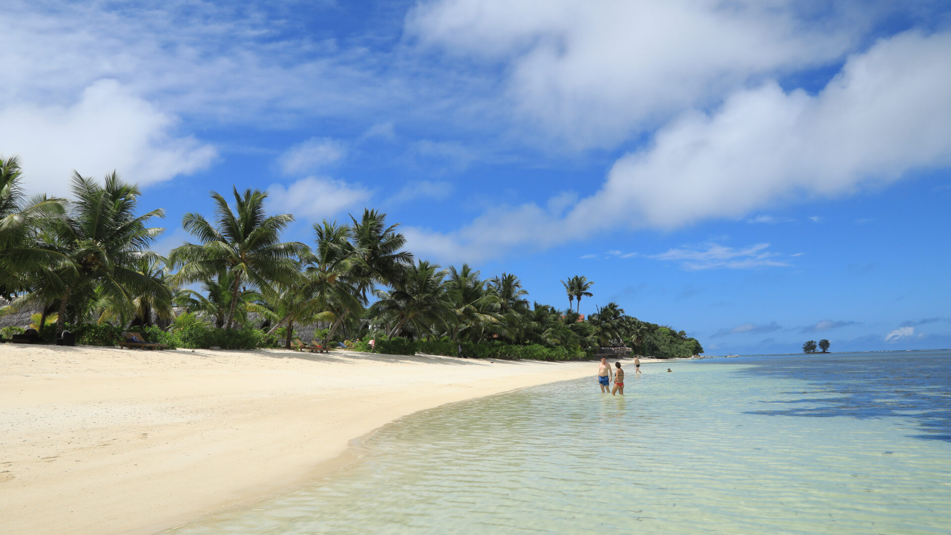 La Digue Island Lodge Seychellerne strand med palmer