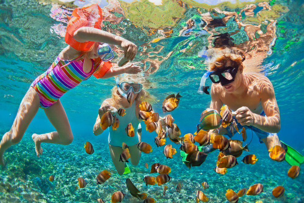 Glad familie – far, mor og barn iført snorkelmasker under vandet på dykning eller snorkling i klart tropisk hav.