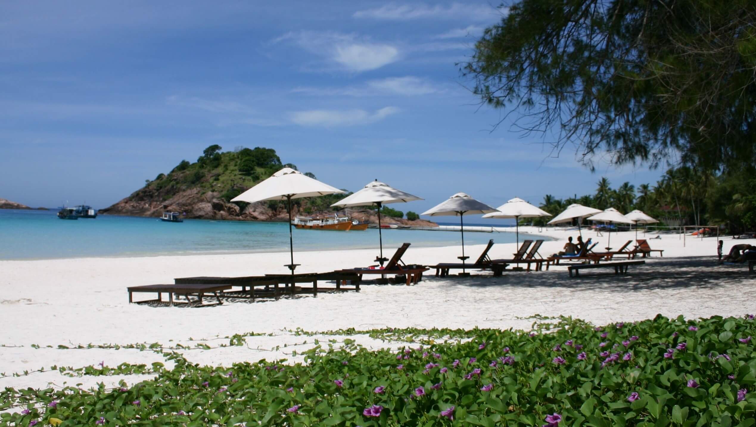 Coral Redang Island strand