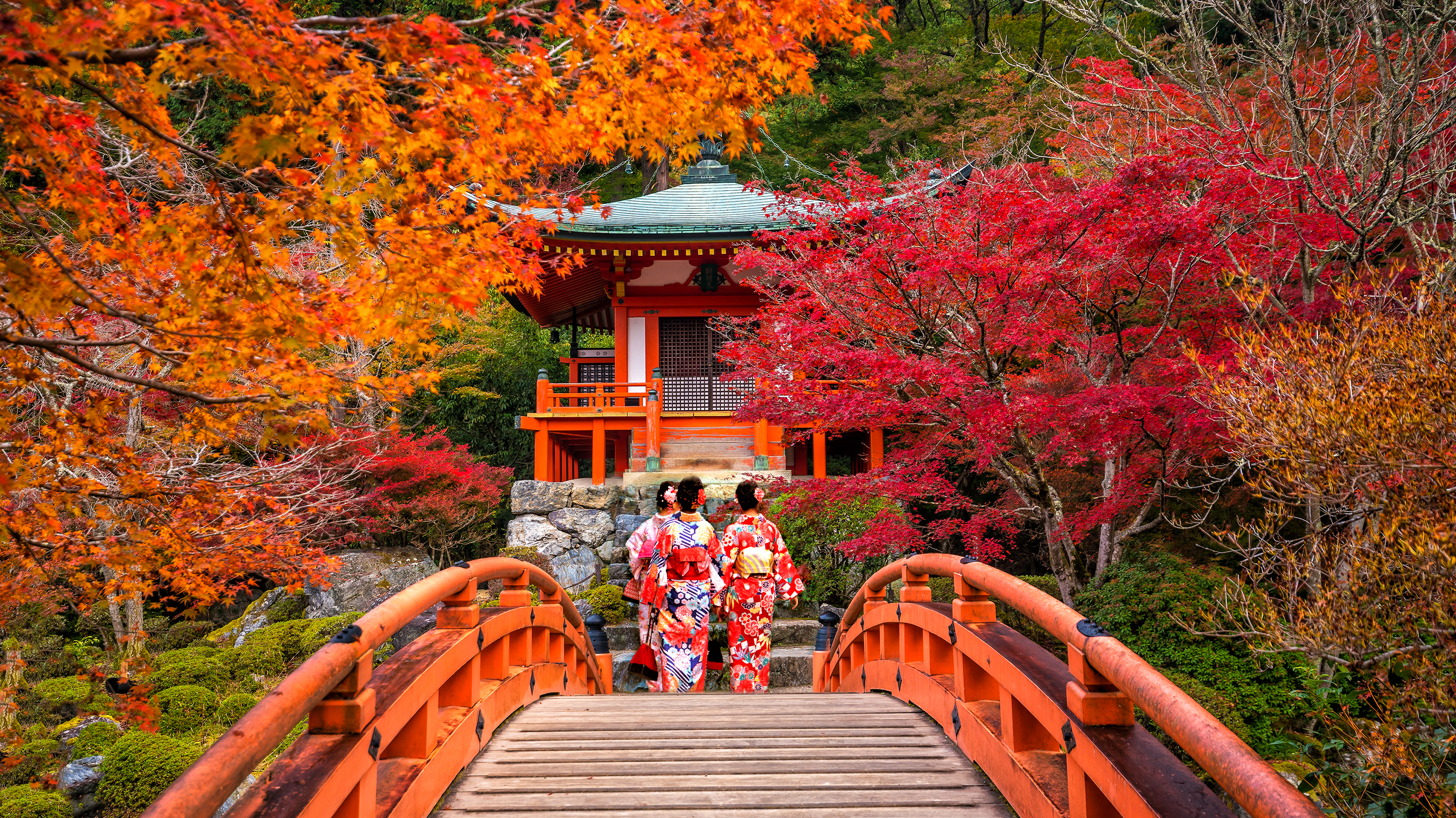 Unge kvinder i yukata ved Daigo-ji-templet blandt røde efterårsløntræer.