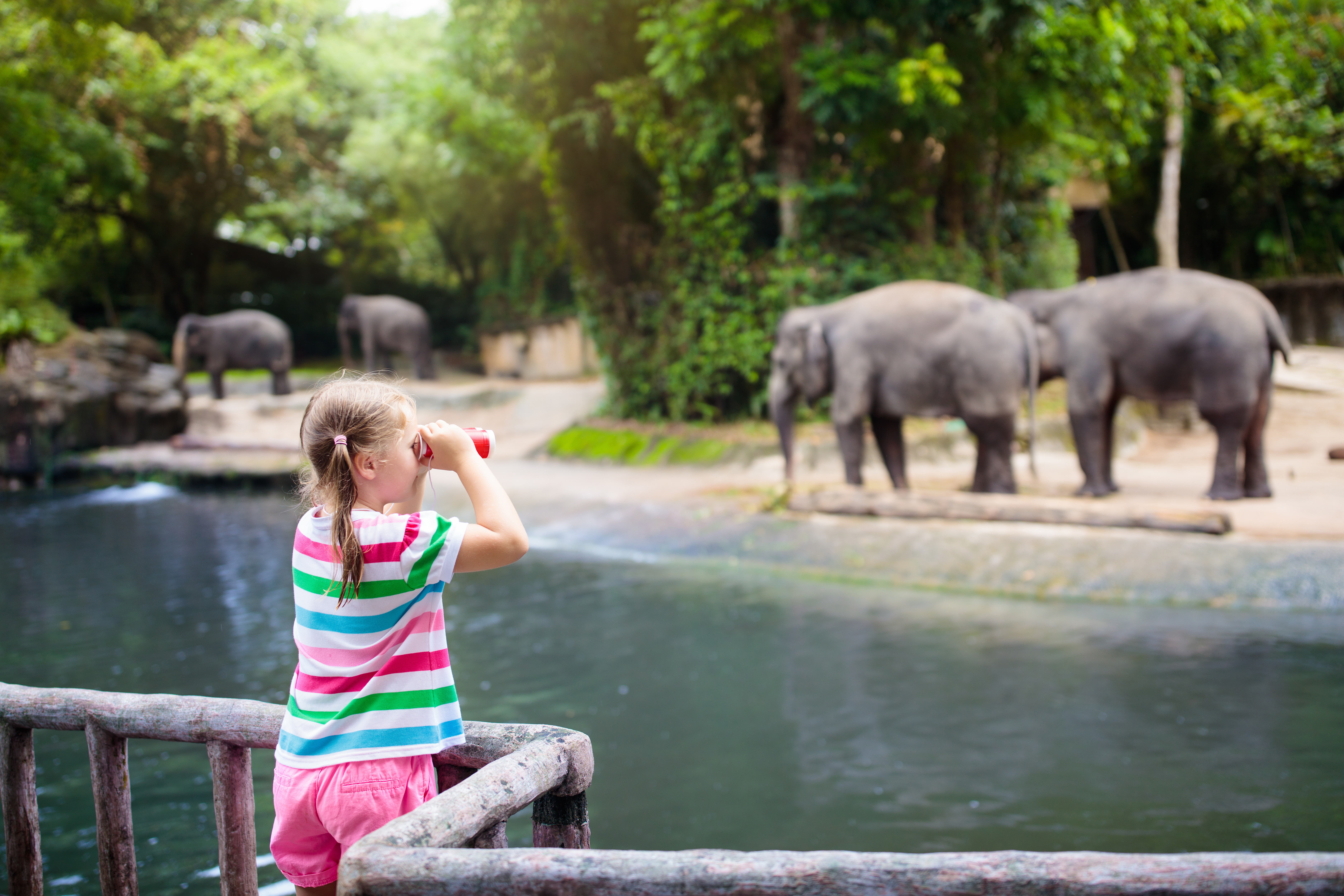 Singapore zoo