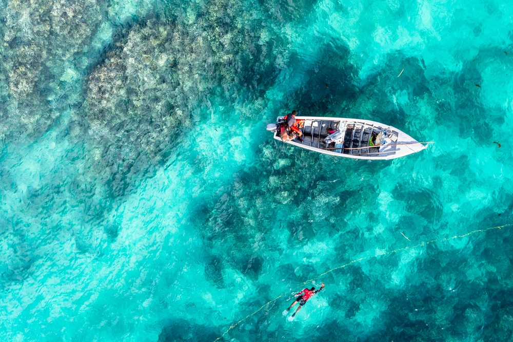 Fiskebåd på det klare hav ved Mauritius
